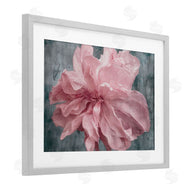 Shirley G. | Flower with Wavy Petals