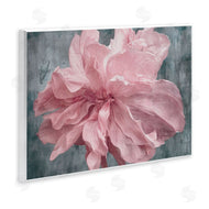 Shirley G. | Flower with Wavy Petals