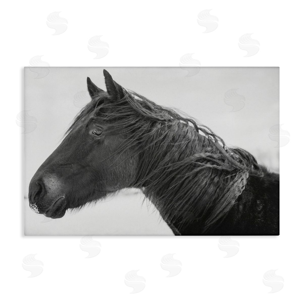 Amy Carroll Draisma Winter Herd Portrait Canvas Wall Art Print