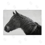 Amy Carroll | Draisma Winter Herd Portrait