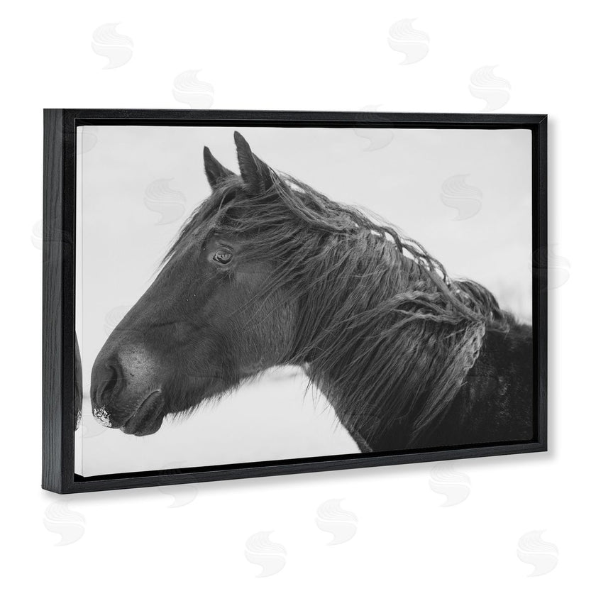 Amy Carroll | Draisma Winter Herd Portrait
