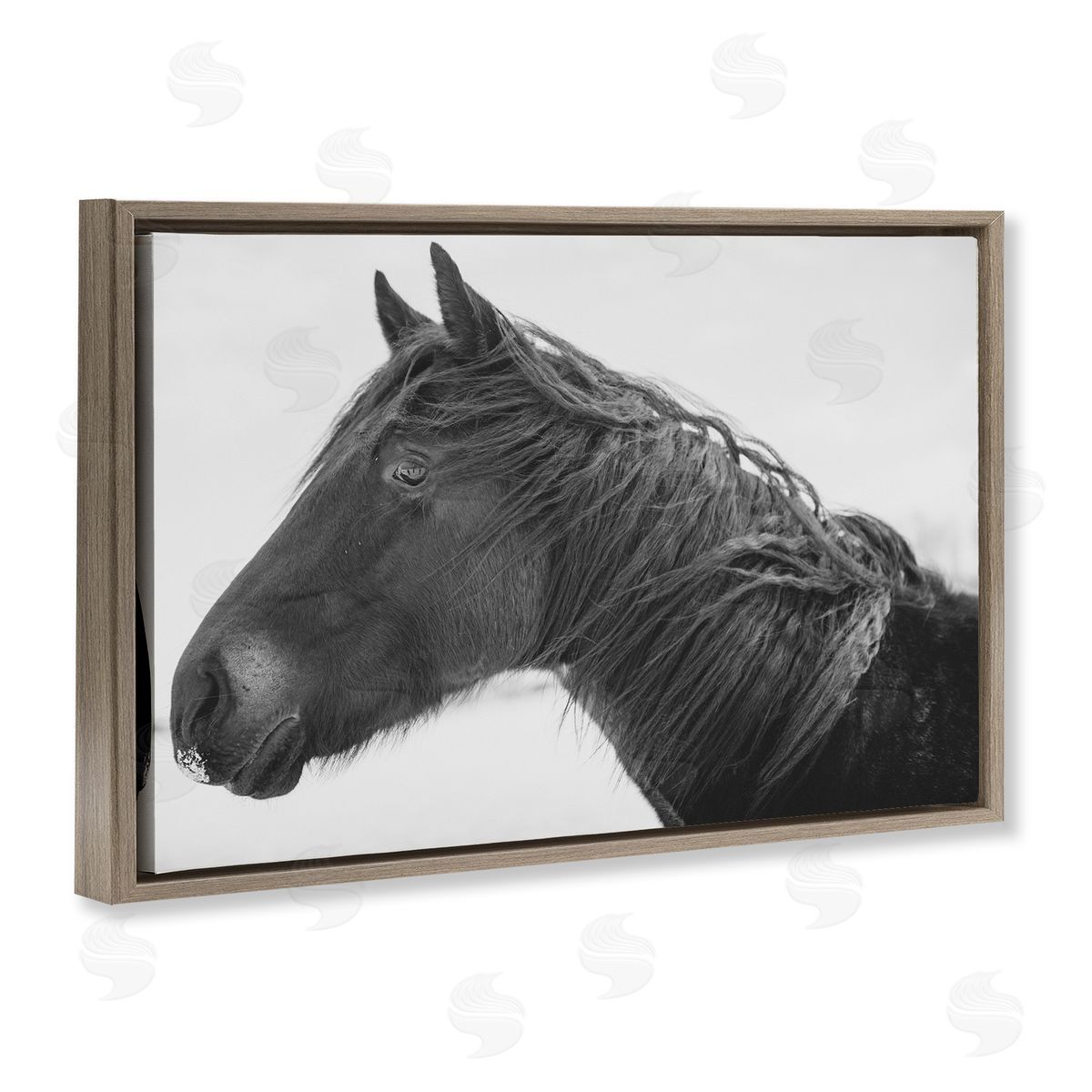 Amy Carroll Draisma Winter Herd Portrait Canvas Wall Art Print
