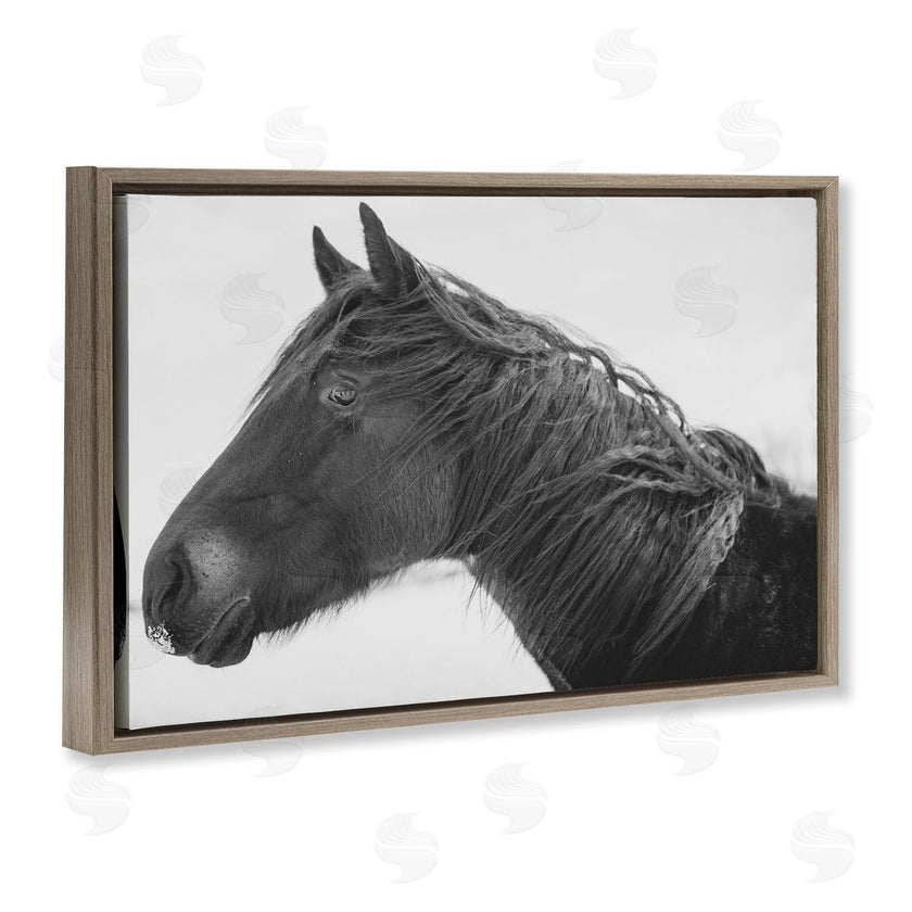 Amy Carroll | Draisma Winter Herd Portrait
