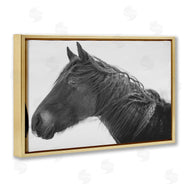 Amy Carroll | Draisma Winter Herd Portrait