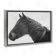 Amy Carroll | Draisma Winter Herd Portrait