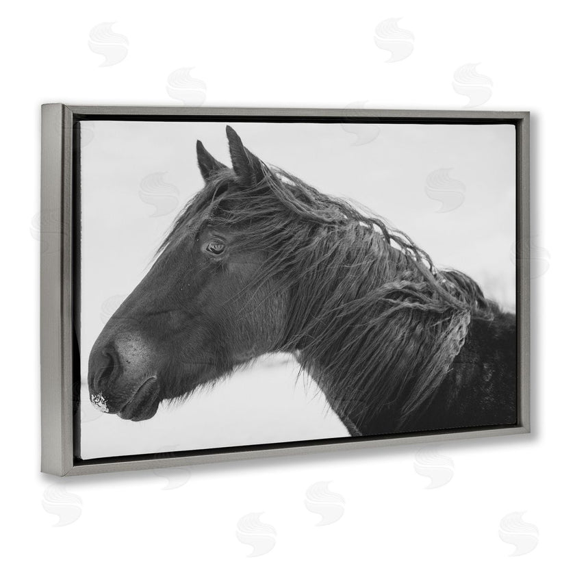 Amy Carroll | Draisma Winter Herd Portrait