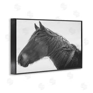 Amy Carroll | Draisma Winter Herd Portrait