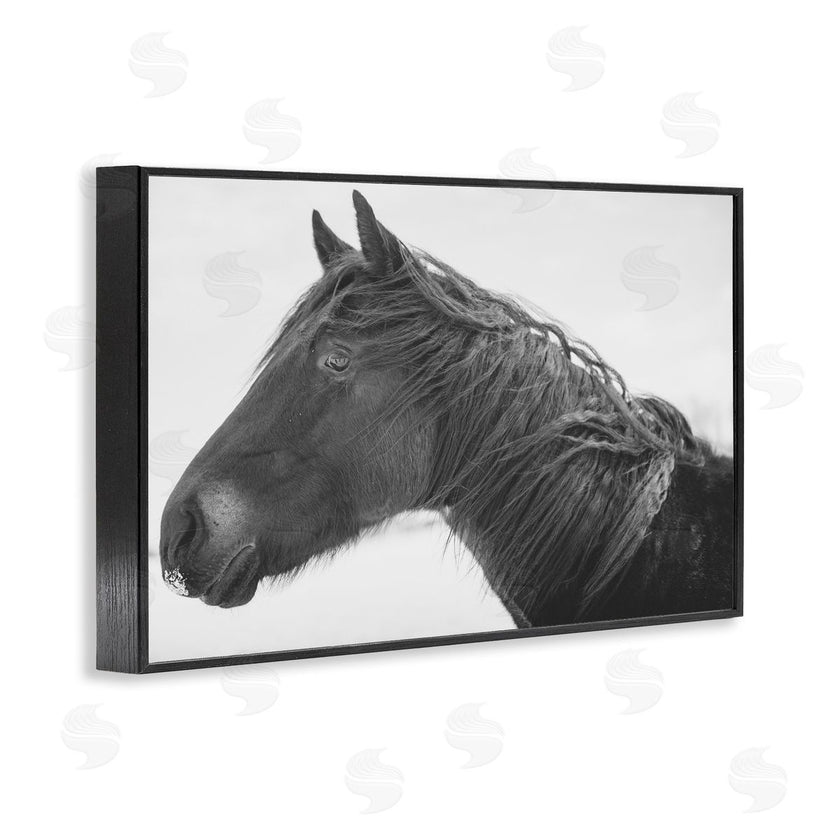 Amy Carroll | Draisma Winter Herd Portrait