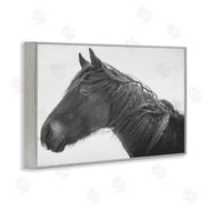 Amy Carroll | Draisma Winter Herd Portrait