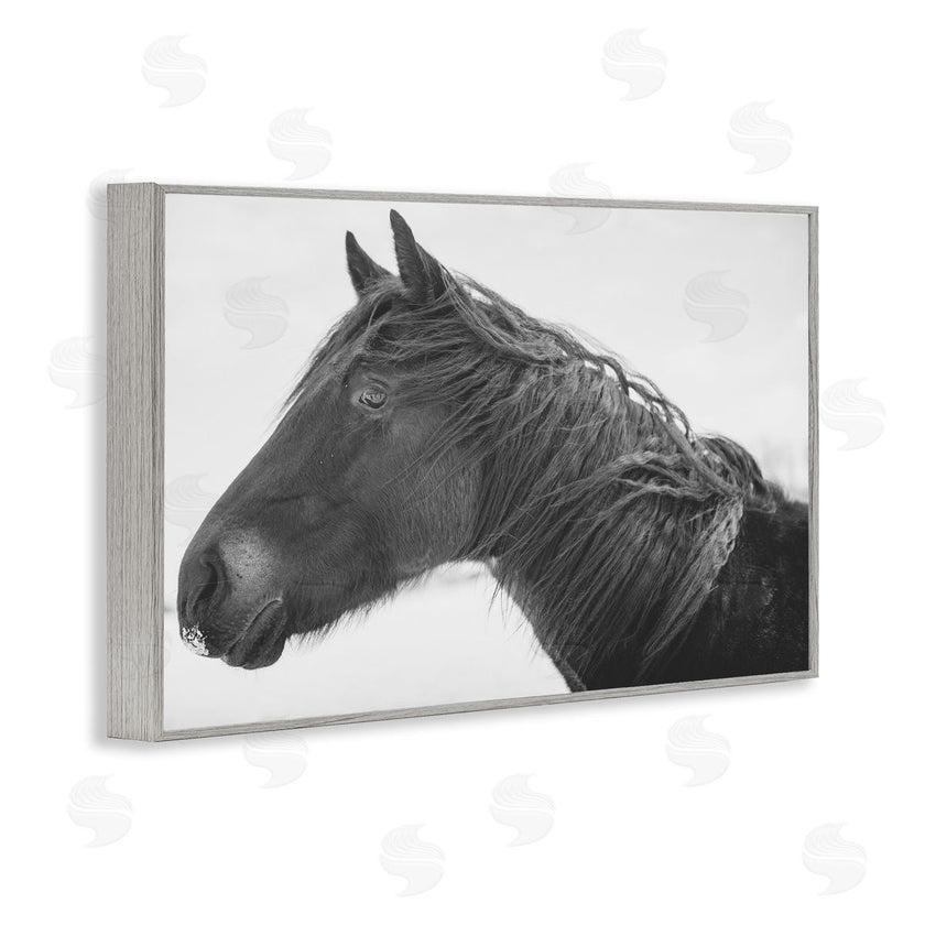 Amy Carroll | Draisma Winter Herd Portrait