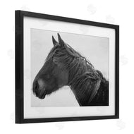 Amy Carroll | Draisma Winter Herd Portrait