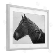 Amy Carroll | Draisma Winter Herd Portrait