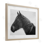 Amy Carroll | Draisma Winter Herd Portrait