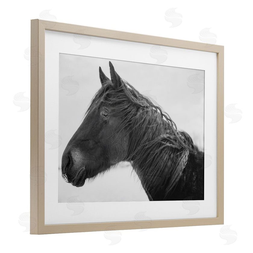 Amy Carroll | Draisma Winter Herd Portrait