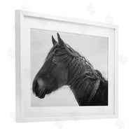 Amy Carroll | Draisma Winter Herd Portrait