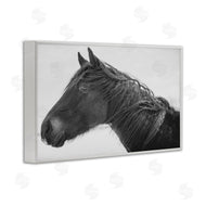 Amy Carroll | Draisma Winter Herd Portrait