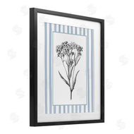 Lettered and Lined | Vintage Herbs Blue Striped Border