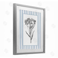 Lettered and Lined | Vintage Herbs Blue Striped Border