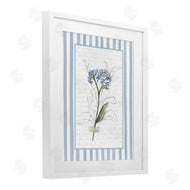 Lettered and Lined | Striped Cottage Herb Sketch
