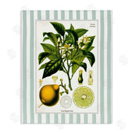 Lettered and Lined | Lemon Plant Green Stripes