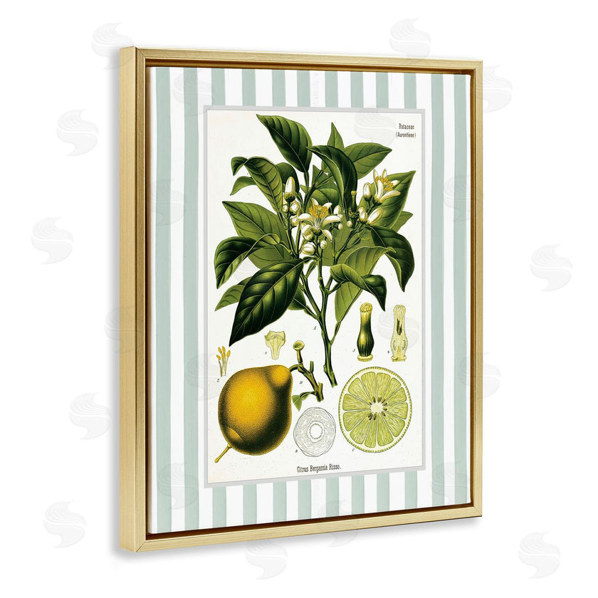 Lettered and Lined | Lemon Plant Green Stripes