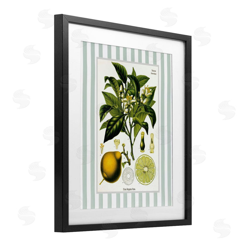 Lettered and Lined | Lemon Plant Green Stripes