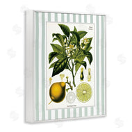 Lettered and Lined | Lemon Plant Green Stripes
