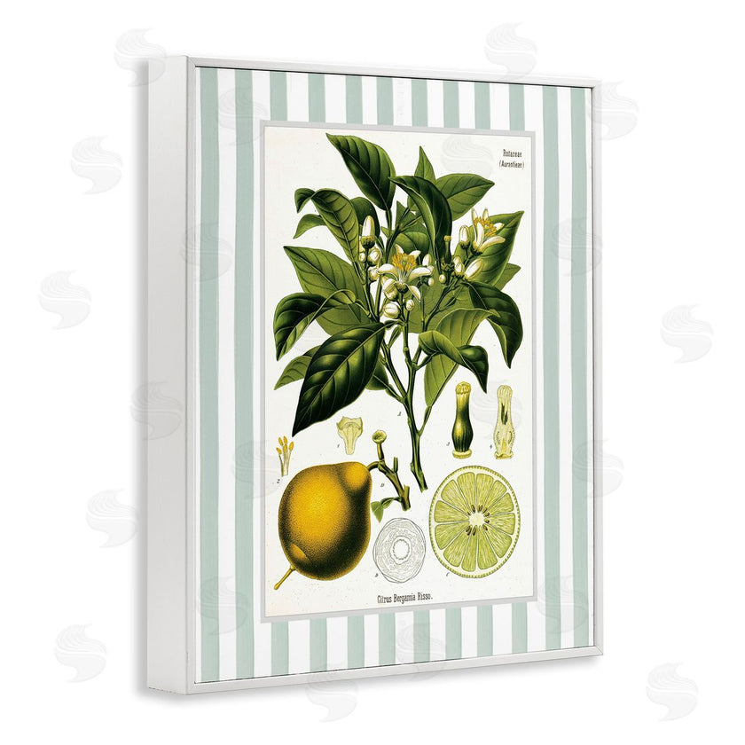 Lettered and Lined | Lemon Plant Green Stripes