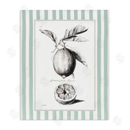 Lettered and Lined | Vintage Citrus Green Stripes