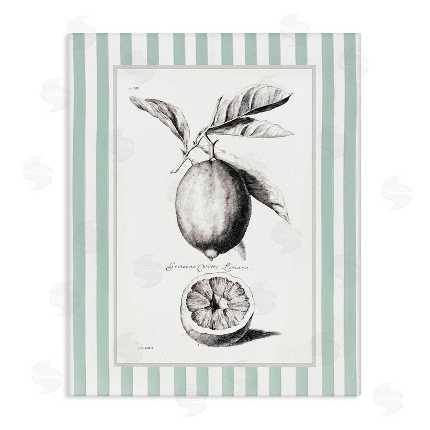 Lettered and Lined | Vintage Citrus Green Stripes