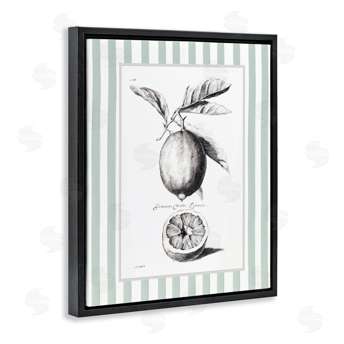 Lettered and Lined Vintage Citrus Green Stripes Canvas Wall Art Print