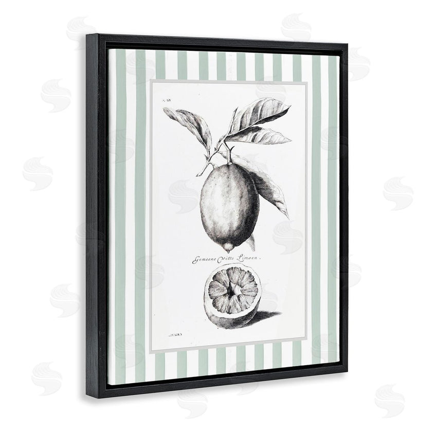 Lettered and Lined | Vintage Citrus Green Stripes