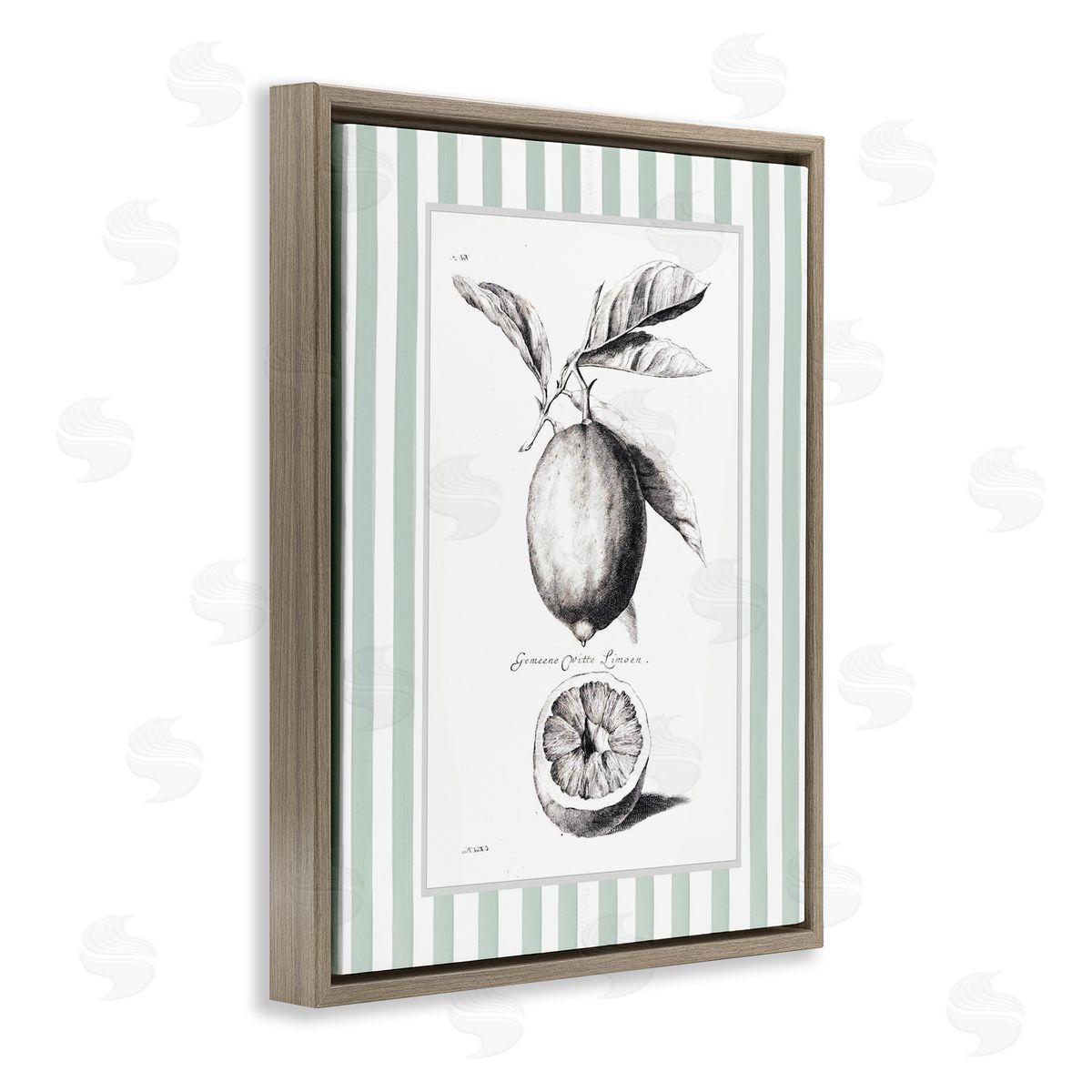 Lettered and Lined Vintage Citrus Green Stripes Canvas Wall Art Print