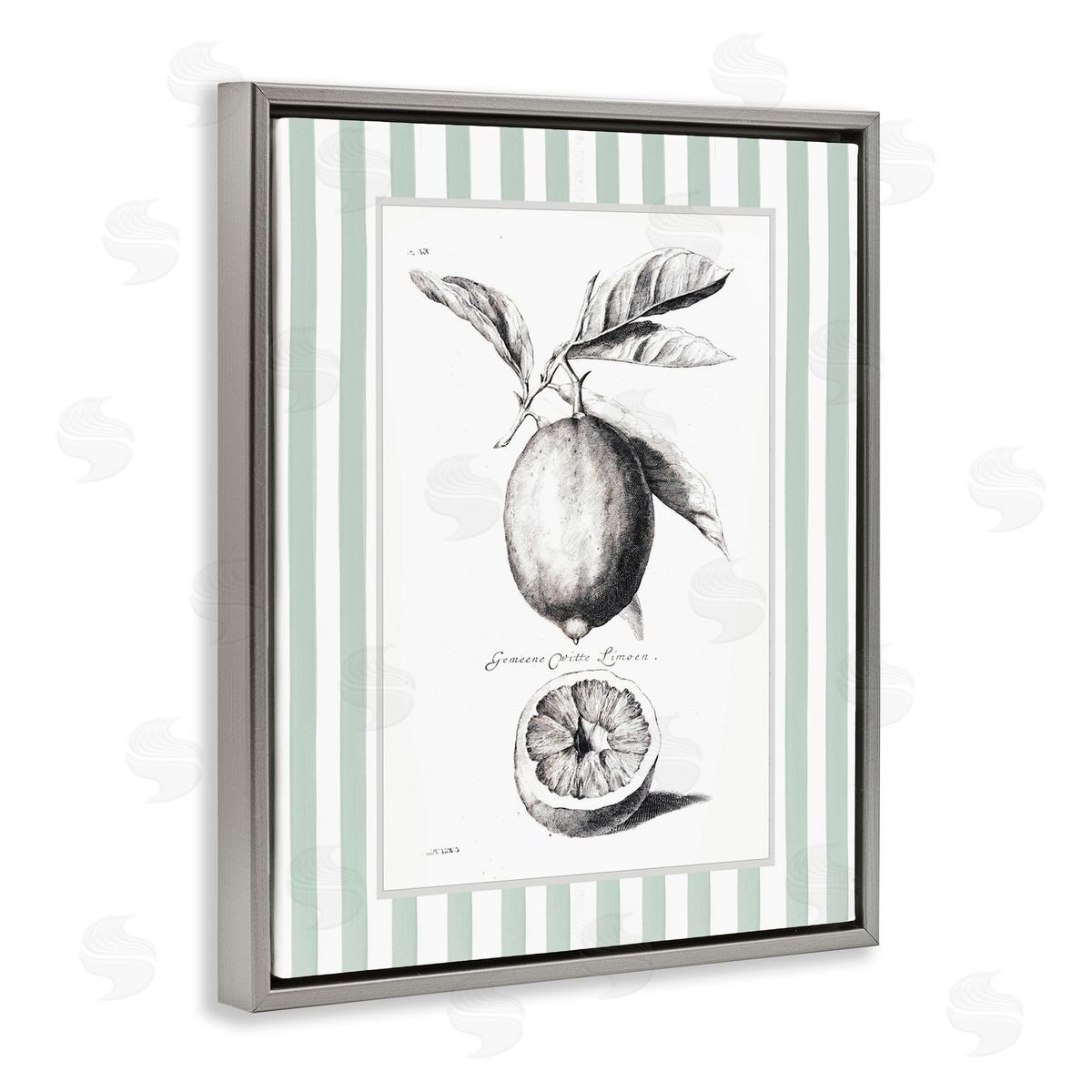 Lettered and Lined Vintage Citrus Green Stripes Canvas Wall Art Print