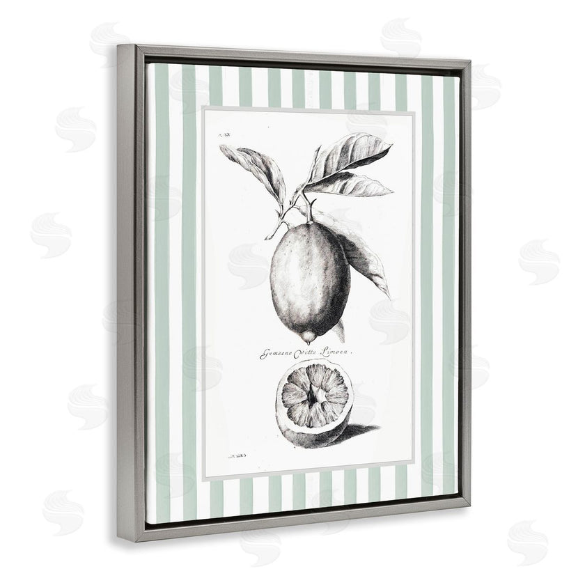 Lettered and Lined | Vintage Citrus Green Stripes
