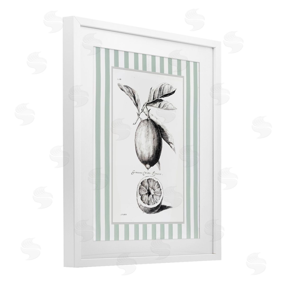 Lettered and Lined Vintage Citrus Green Stripes Canvas Wall Art Print