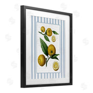 Lettered and Lined | Vintage Lemons Blue Stripes