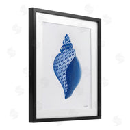 Courtney Prahl | Chinoiserie Conch Shell