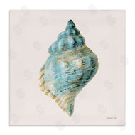 Danhui Nai | Coastal Bliss Conch Shell