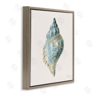 Danhui Nai | Coastal Bliss Conch Shell