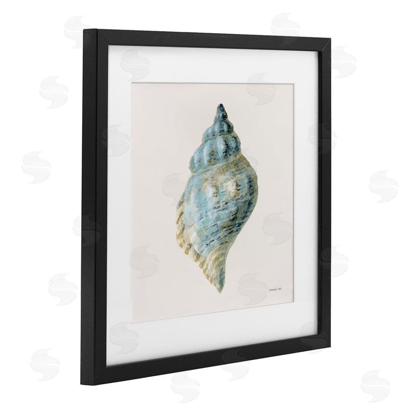 Danhui Nai | Coastal Bliss Conch Shell