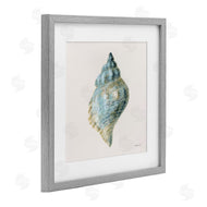 Danhui Nai | Coastal Bliss Conch Shell