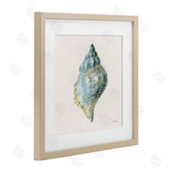 Danhui Nai | Coastal Bliss Conch Shell