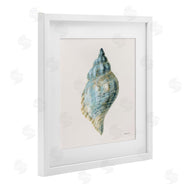 Danhui Nai | Coastal Bliss Conch Shell