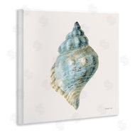 Danhui Nai | Coastal Bliss Conch Shell