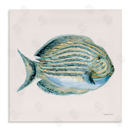 Danhui Nai | Coastal Bliss Fish