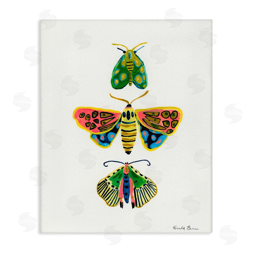 Farida Zaman | Bright Moths Earth Tones