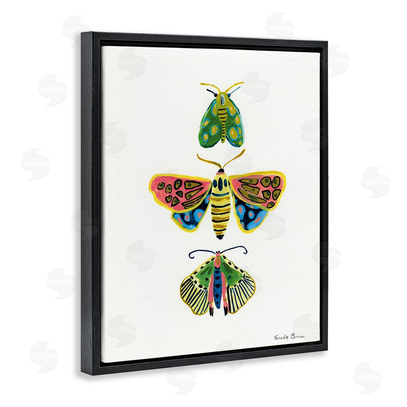 Farida Zaman | Bright Moths Earth Tones