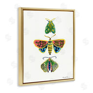 Farida Zaman | Bright Moths Earth Tones