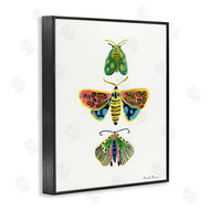 Farida Zaman | Bright Moths Earth Tones